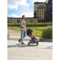 Коляска Chicco Goody Plus Stroller  (79877.19)